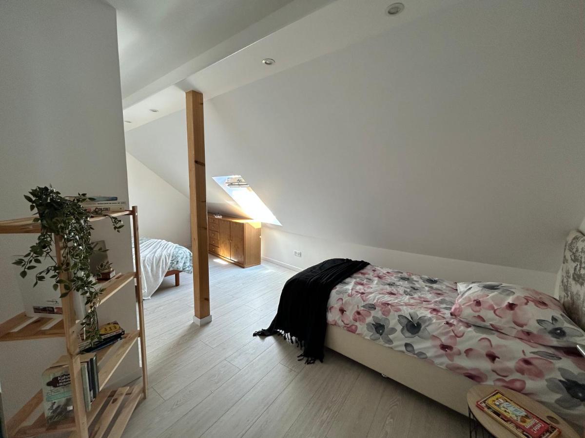 Gite Ma Maison Kintzheim Eksteriør bilde
